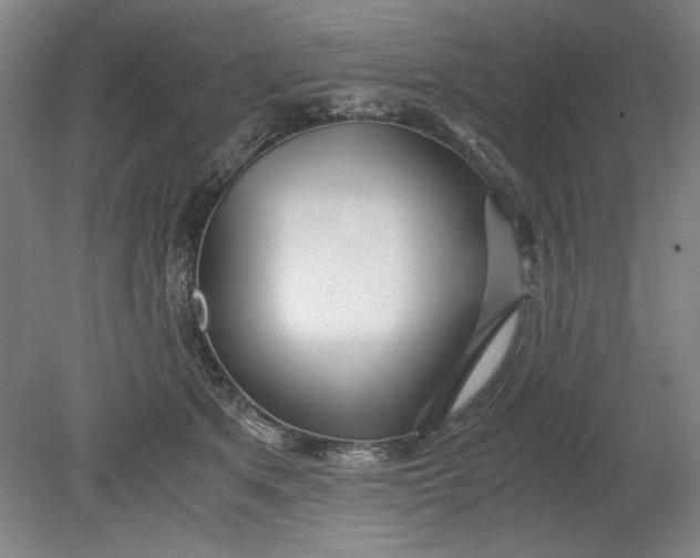 X0000080710513200701021032