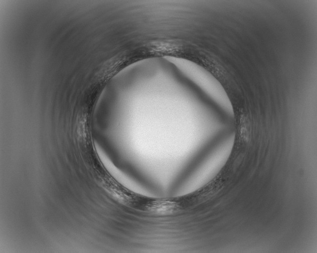 X0000080710514200701021032