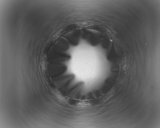 X0000080710515200701021032