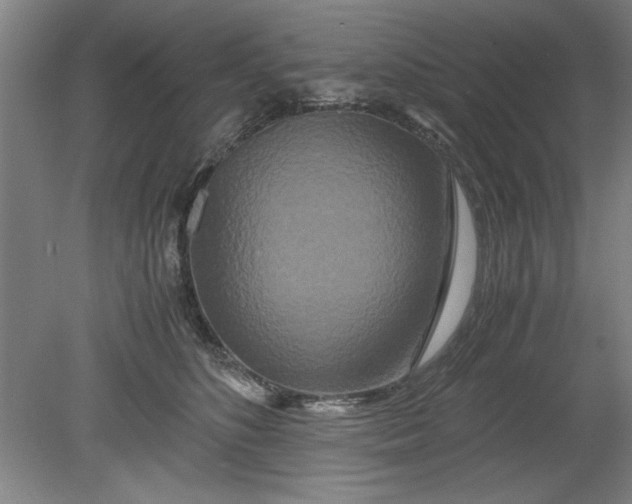 X0000080710516200701021032