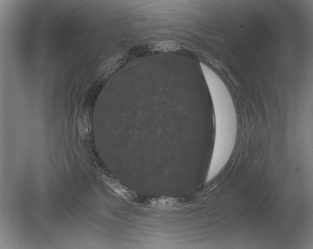 X0000080710517200701021032