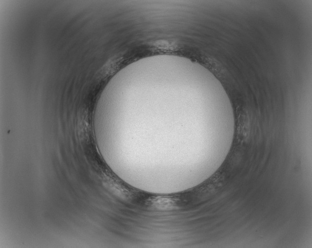 X0000080710518200701021032