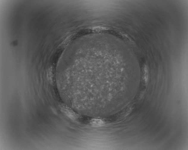 X0000080710519200701021032