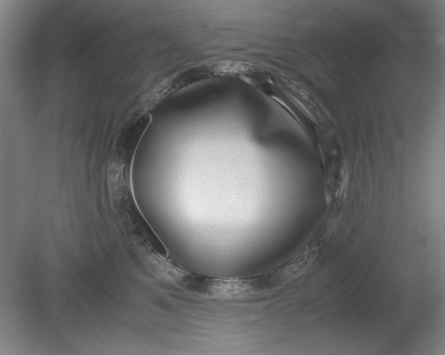 X0000080710521200701021031