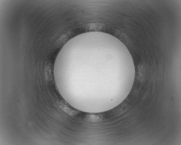 X0000080710522200701021031