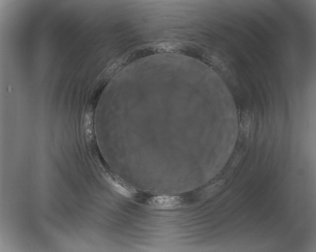 X0000080710526200701021031