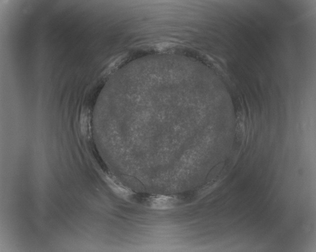 X0000080710527200701021031