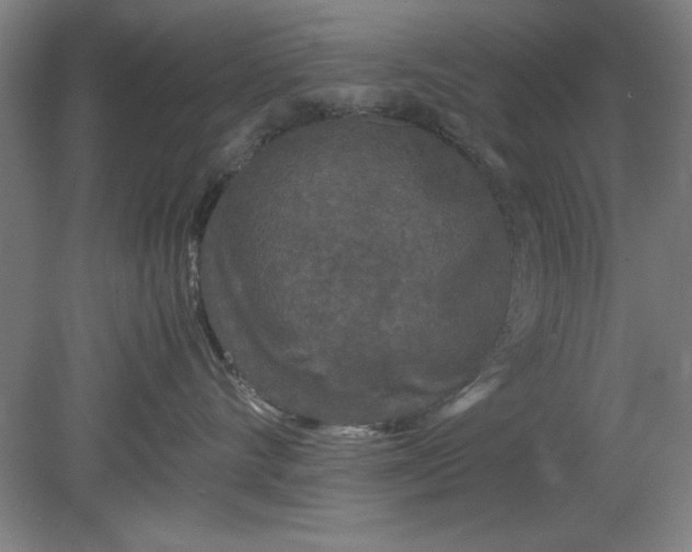 X0000080710528200701021031