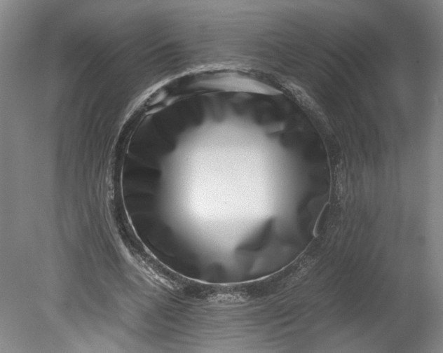 X0000080710536200701021031