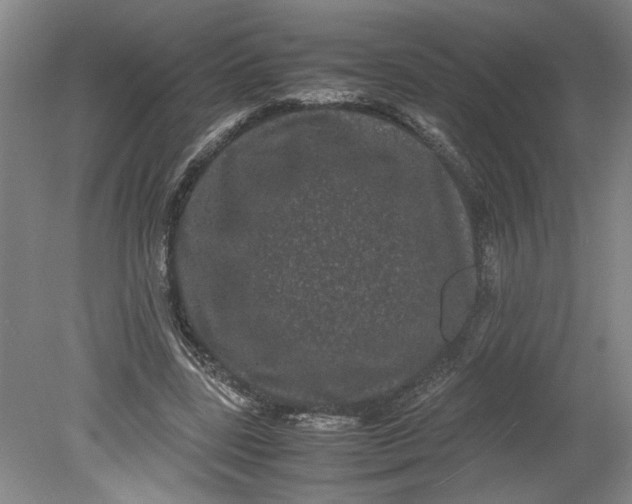 X0000080710539200701021031