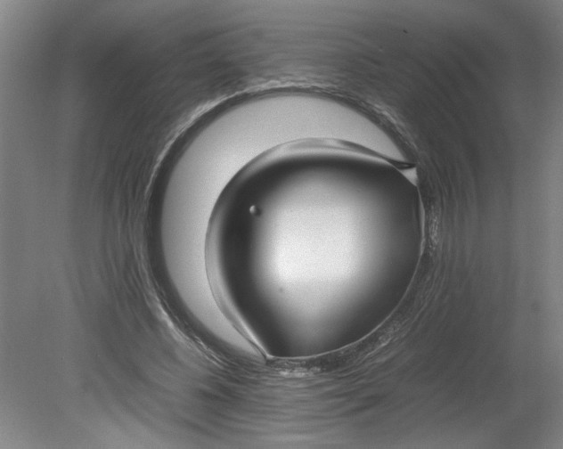 X0000080710540200701021031