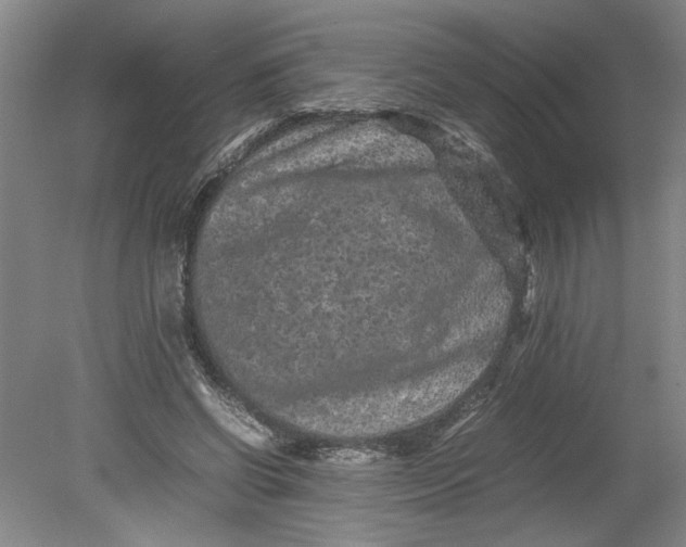 X0000080710542200701021031