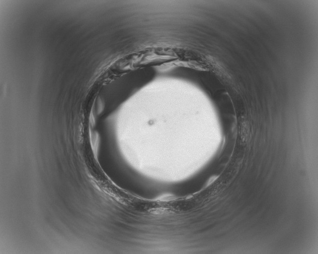 X0000080710544200701021031