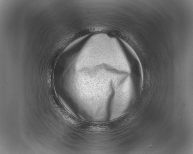 X0000080710545200701021031