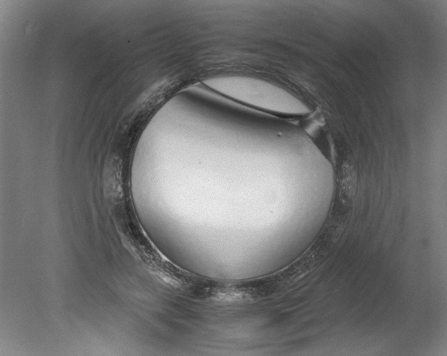 X0000080710547200701021031