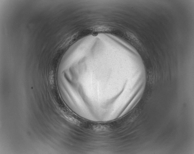 X0000080710549200701021031