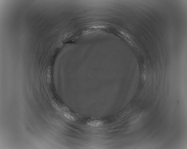 X0000080710551200701021031