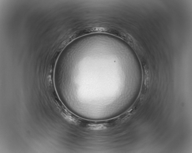 X0000080710553200701021031