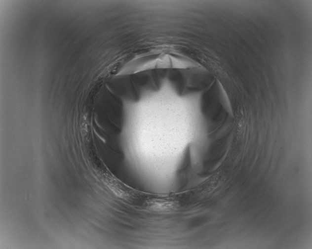 X0000080710555200701021031