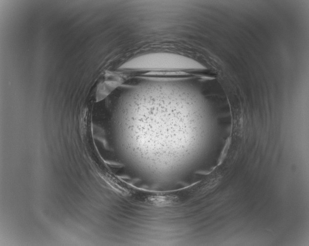 X0000080710558200701021031