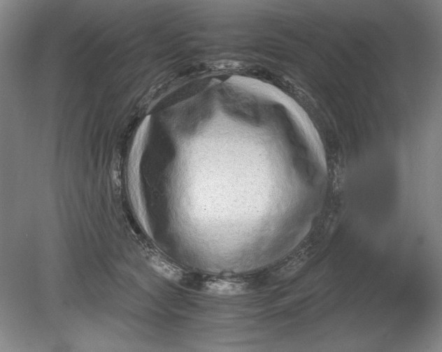 X0000080710561200701021031