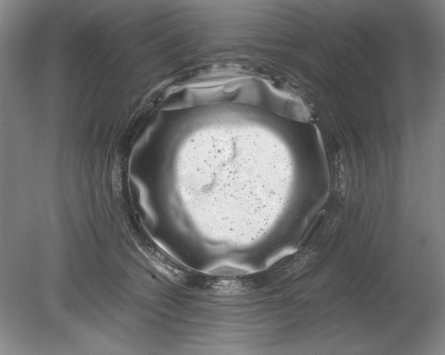 X0000080710562200701021031