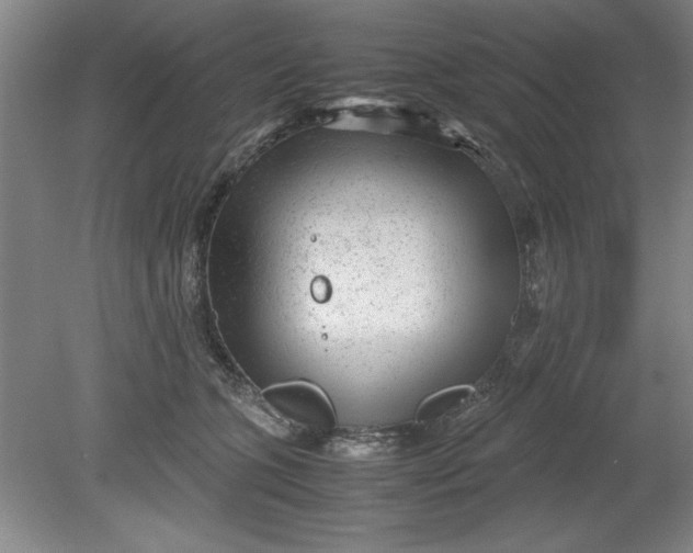 X0000080710563200701021031