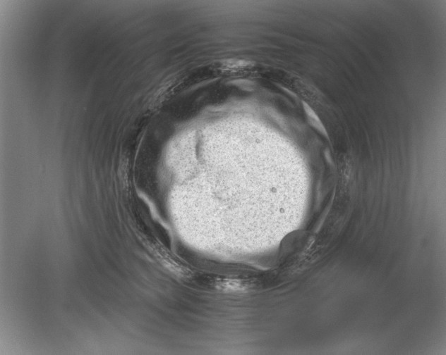 X0000080710565200701021031