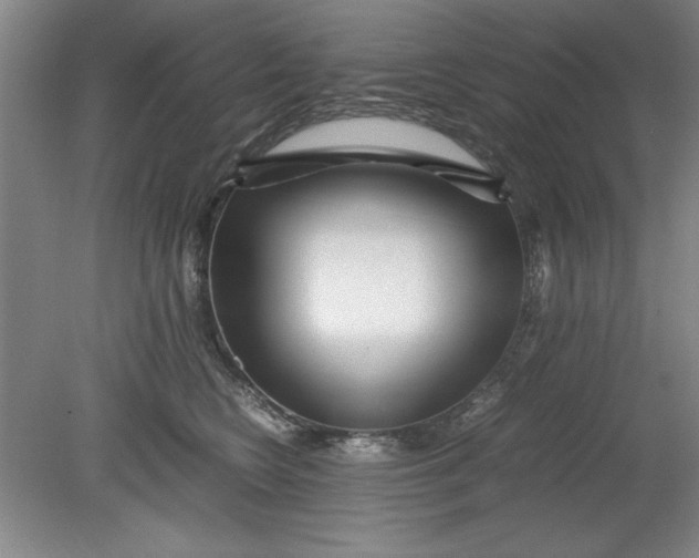 X0000080710566200701021031