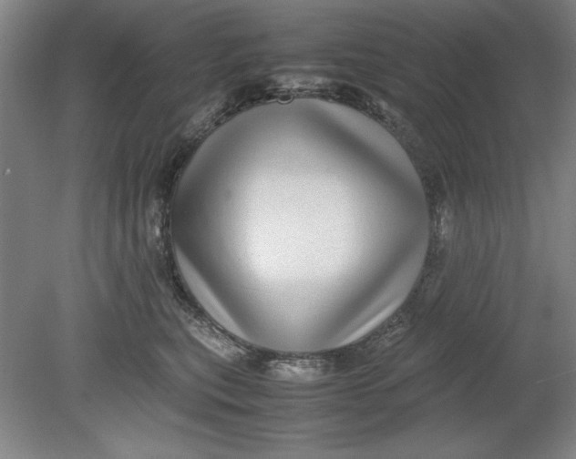 X0000080710567200701021031