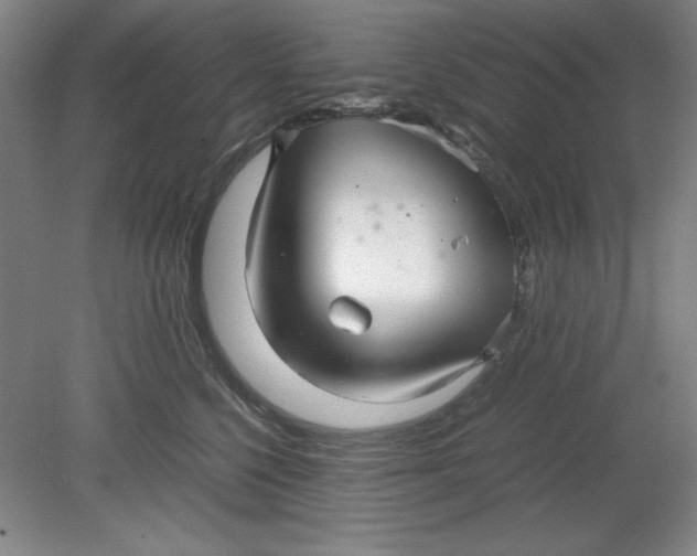 X0000080710568200701021031