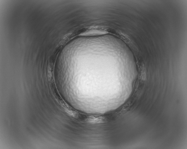 X0000080710569200701021031