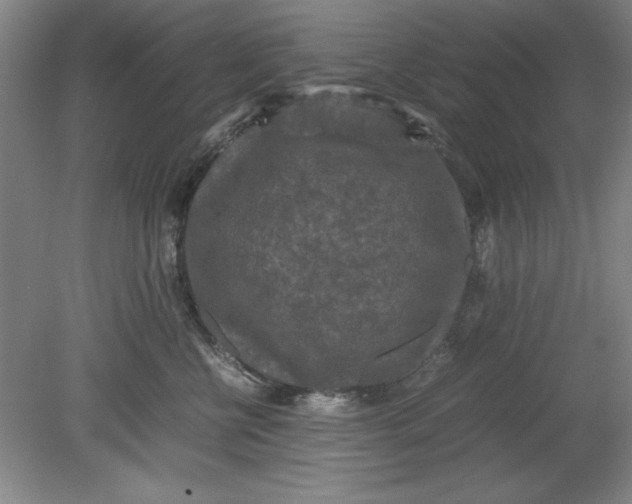 X0000080710570200701021031