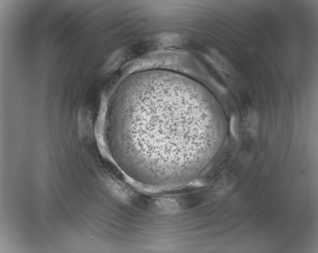 X0000080710572200701021031