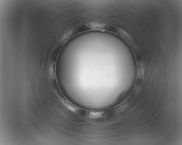 X0000080710573200701021031