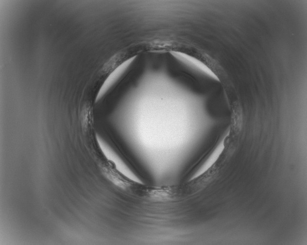 X0000080710574200701021031