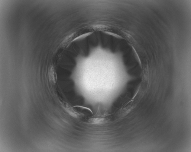 X0000080710575200701021031