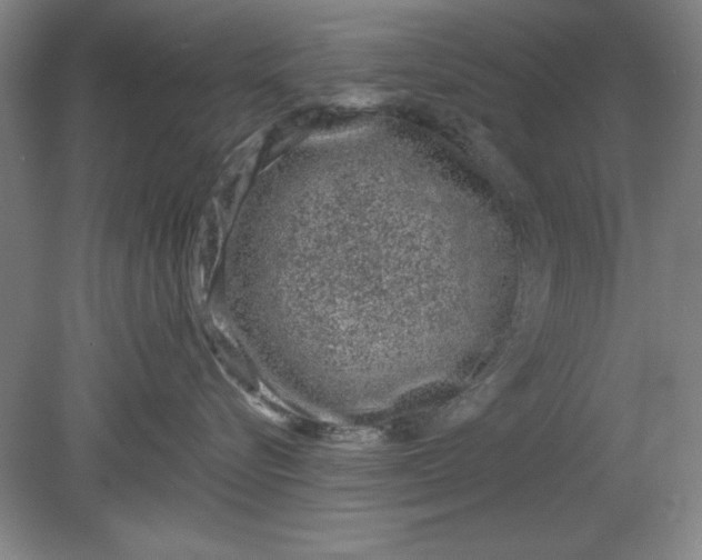 X0000080710576200701021031