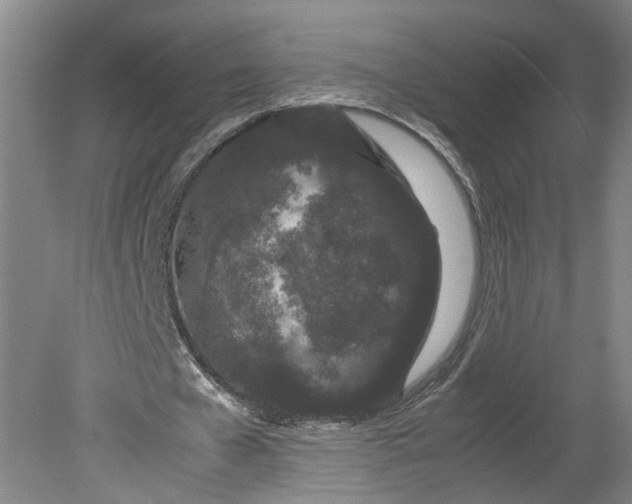 X0000080710577200701021031