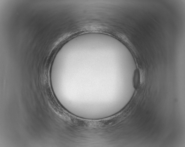 X0000080710579200701021031