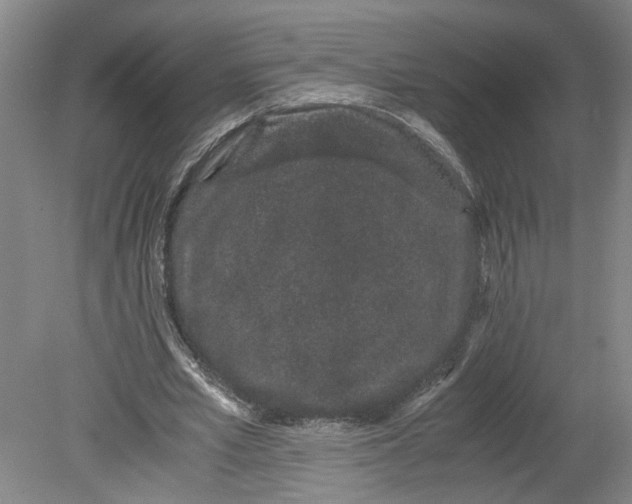 X0000080710581200701021030