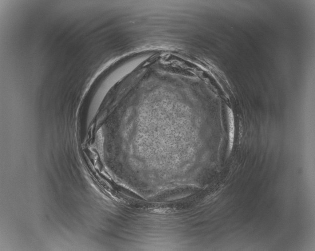 X0000080710584200701021030