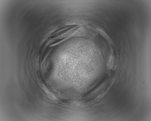 X0000080710585200701021030