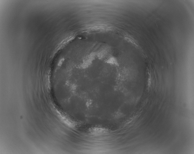 X0000080710590200701021030