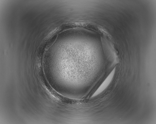 X0000080710593200701021030