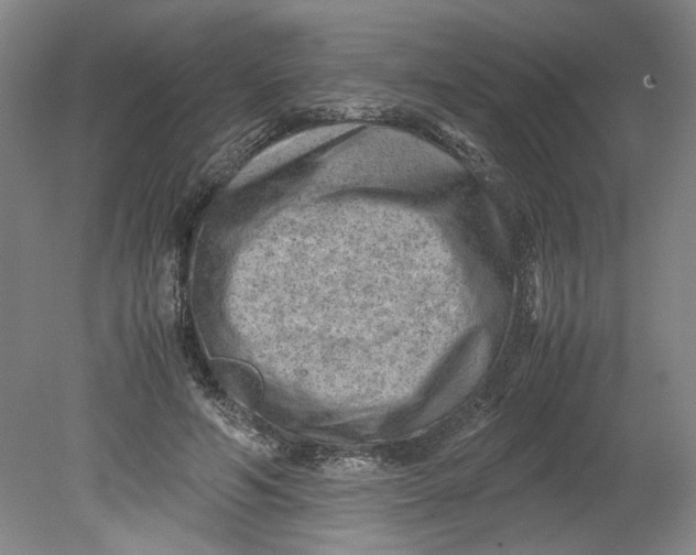 X0000080710594200701021030