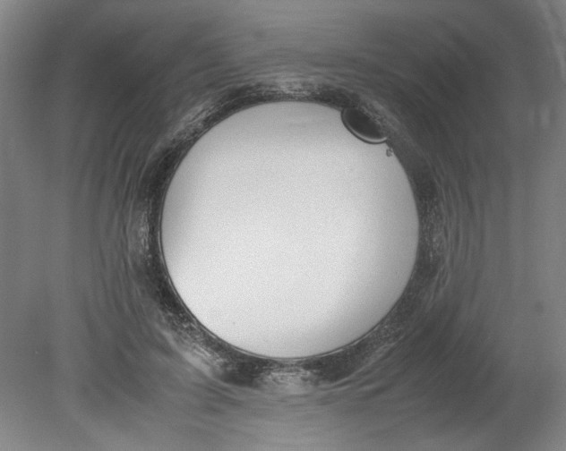 X0000080710595200701021030