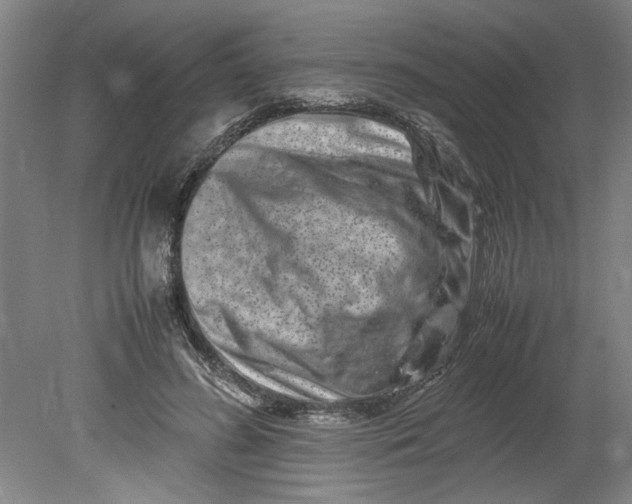 X0000080710596200701021030