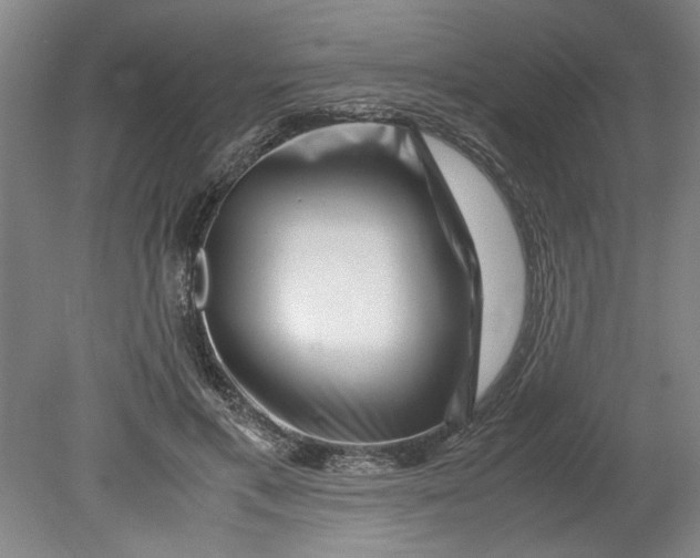 X0000080710597200701021030