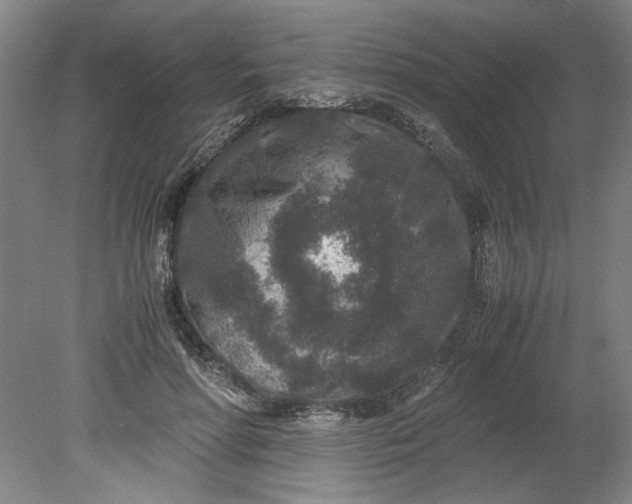 X0000080710598200701021030